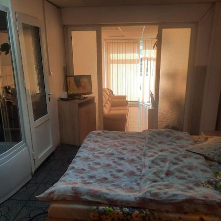 Ferienwohnung Garsoniera Del Dodo Alba Iulia Exterior foto